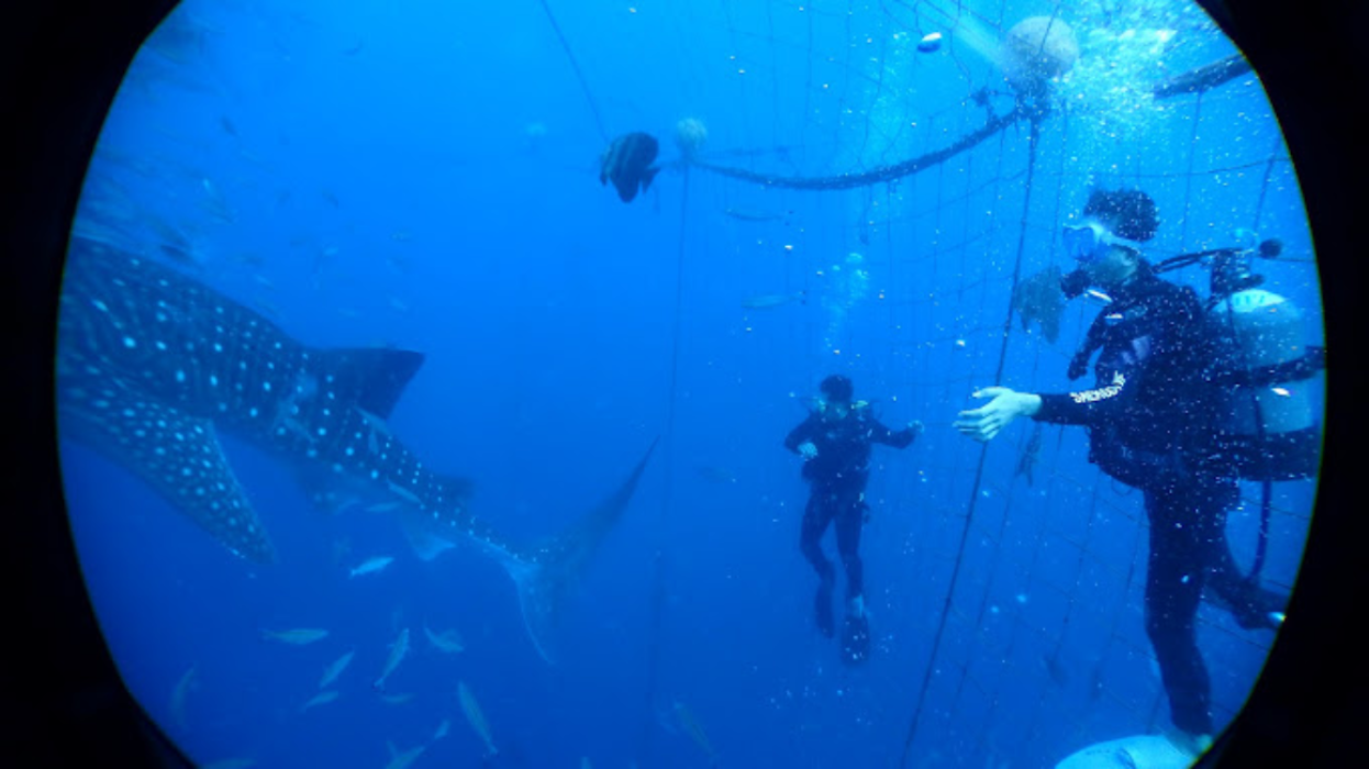 Images 縦横四海イーオーシャン