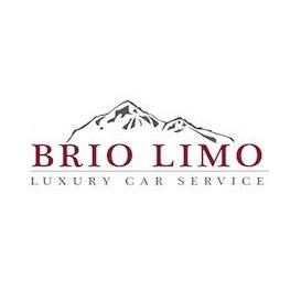 Brio Limo, LLC Logo