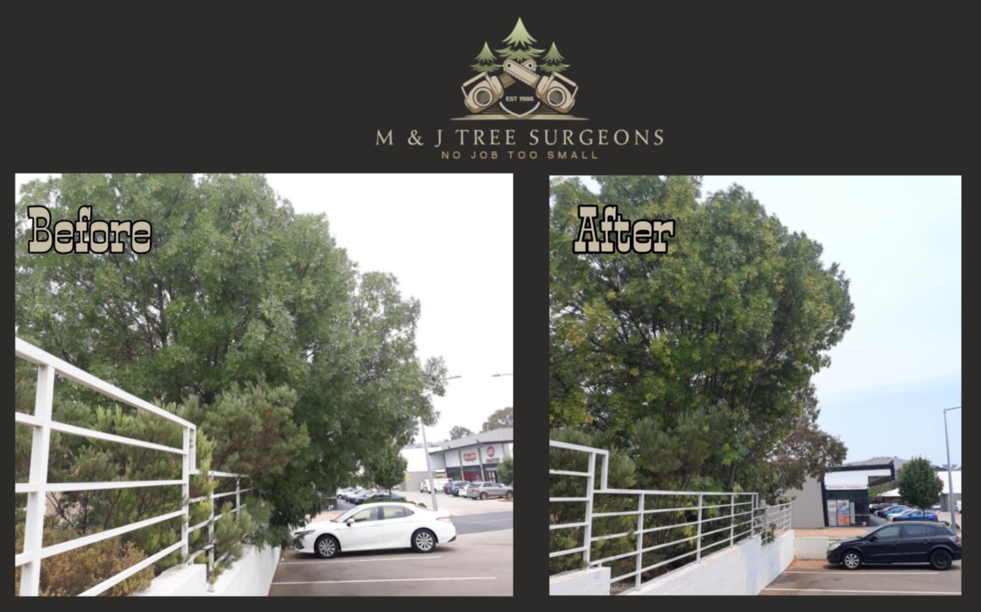 Images M & J Tree Surgeons