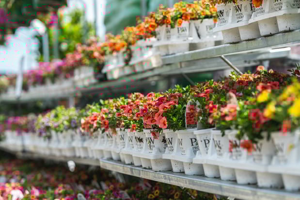 Images Mahoney's Garden Center
