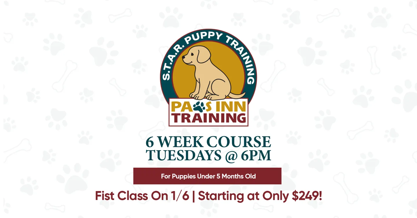 Image of Local Pet Event S.T.A.R. Puppy Training - 6 Week Course Nearby