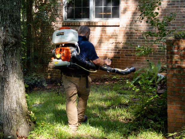 Images Pest Magic, LLC