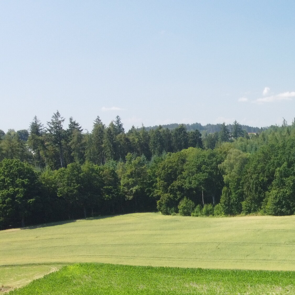 Waldpension Jägerstüberl, Am Steinkart 7f in Bad Griesbach im Rottal