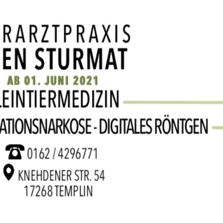 Bilder Tierarztpraxis Sven Sturmat