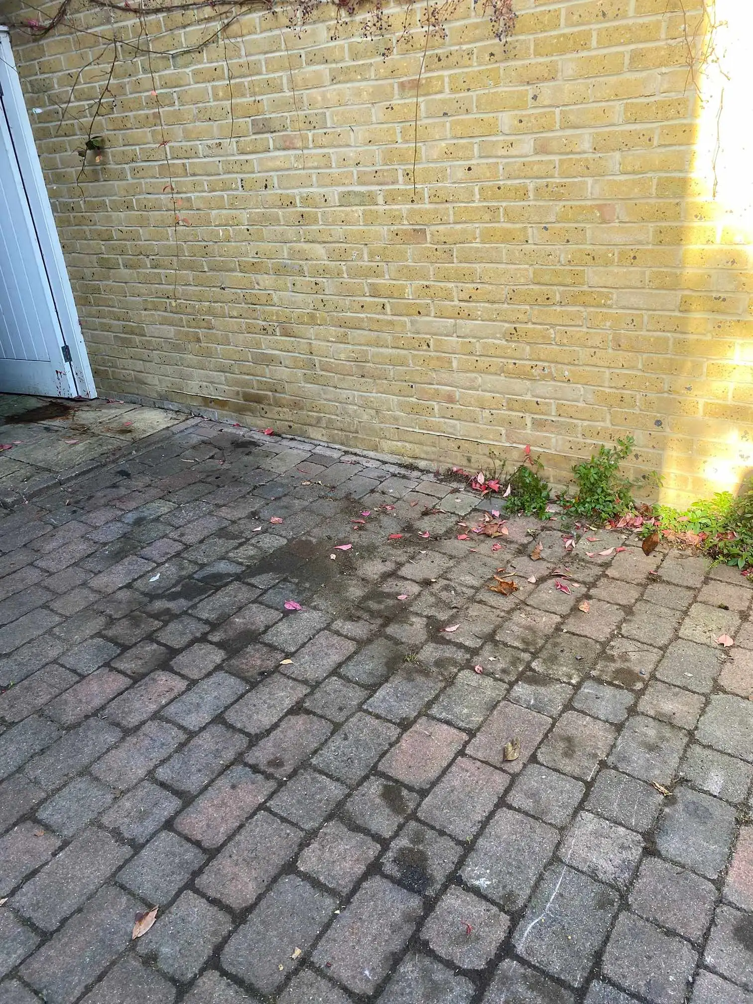 Images Always Clear Waste Removal