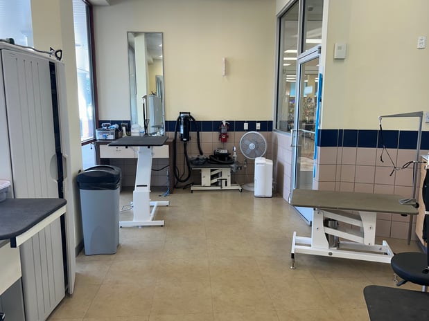 Images Petco Grooming