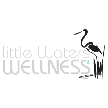 Little Waters Wellness with Dr. Kristina Wodicka Logo