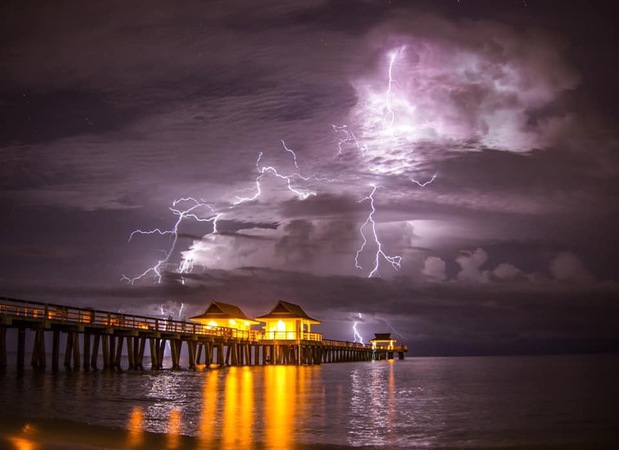 Images PMI Gulf Coast