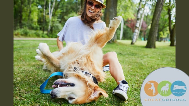 Images Great Outdogs