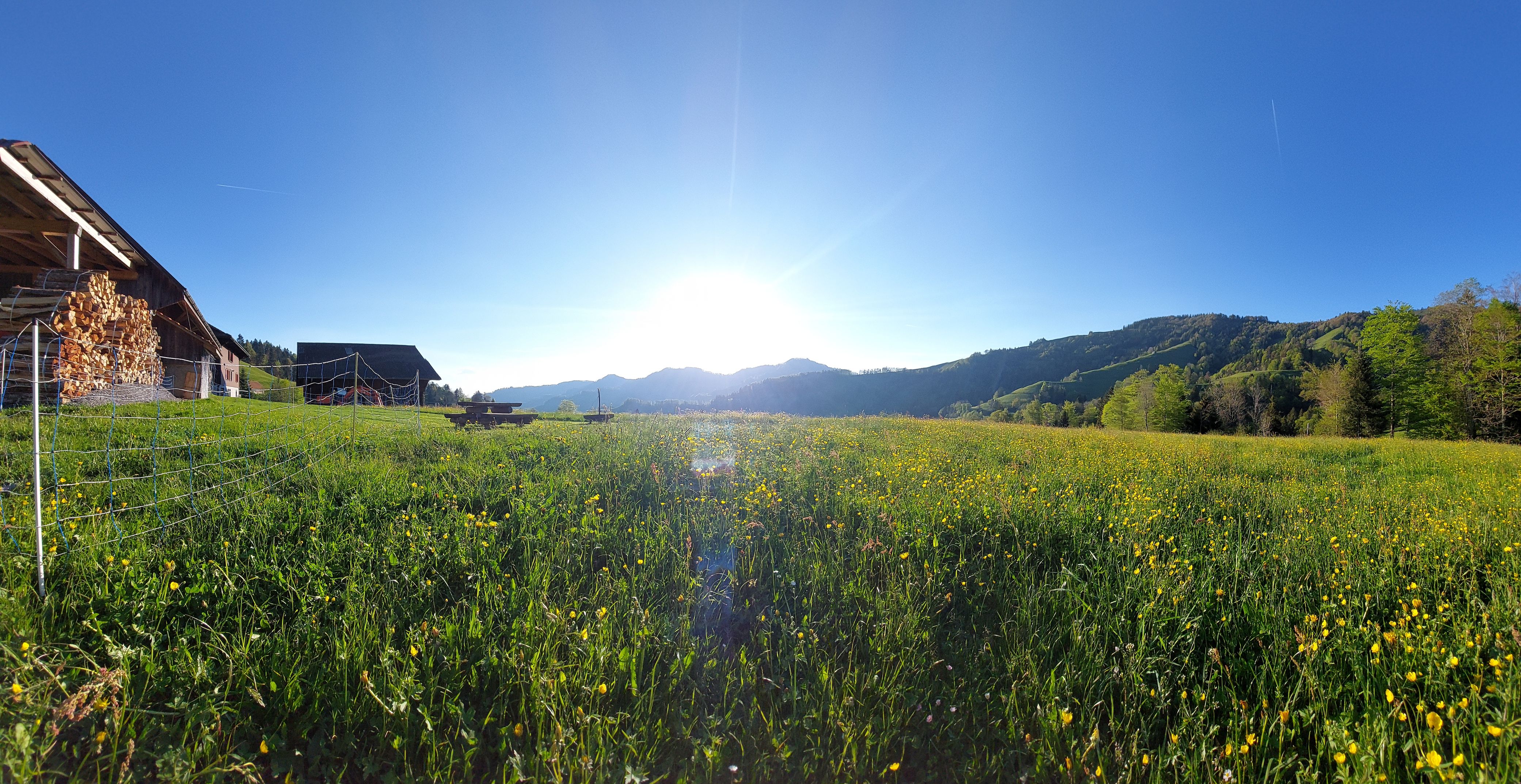 Bilder Restaurant Alp Altschwand