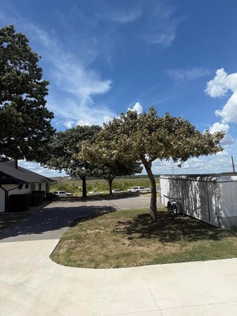 Images Twisted Oaks Tree Services LLC