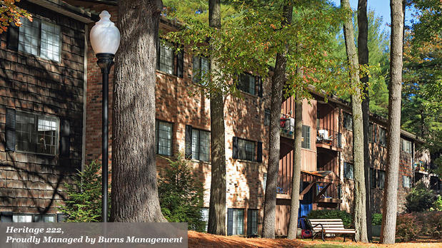 Images Burns Management