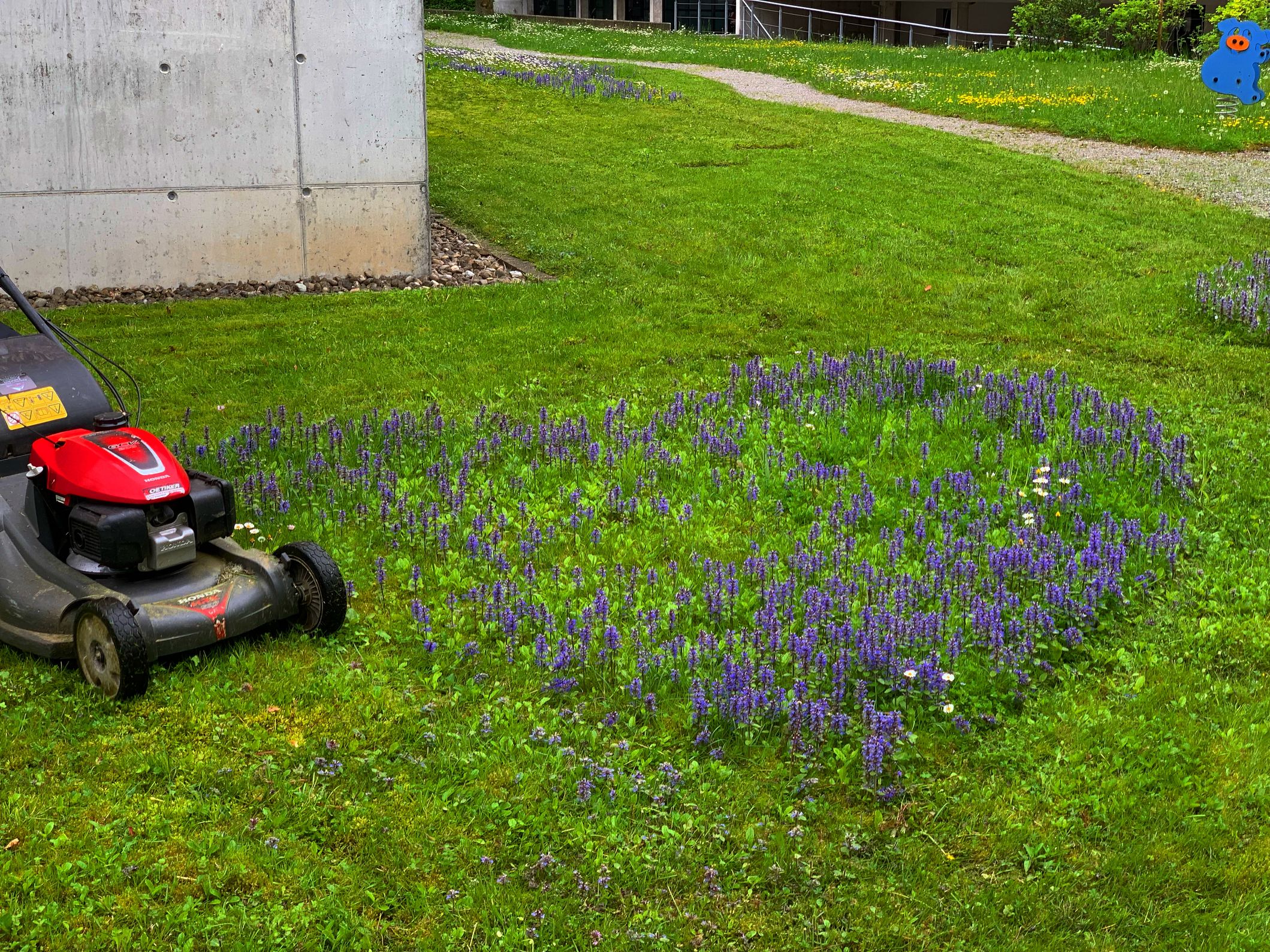 Bilder Casa Grande Hauswartung GmbH