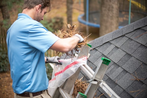 Images Window Hero Raleigh