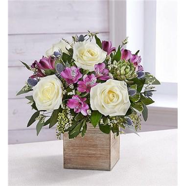 Amethyst Splendor™ Succulent Bouquet - EXCLUSIVE If they find splendor in simple beauty, our rustic new bouquet is the perfect gift.