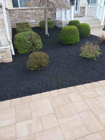 Images Ernesto Property Maintenance LLC