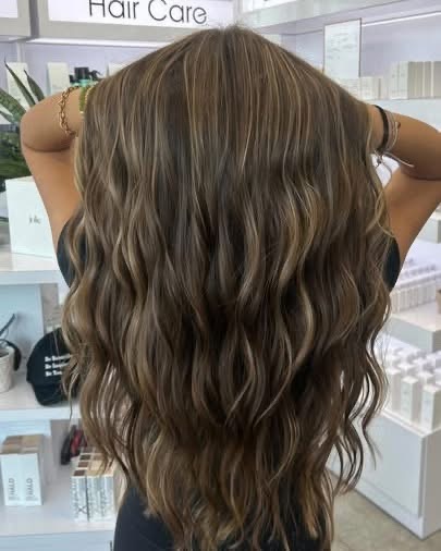 Images Belt Salon Bradenton