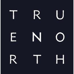 True North - Pendry Logo