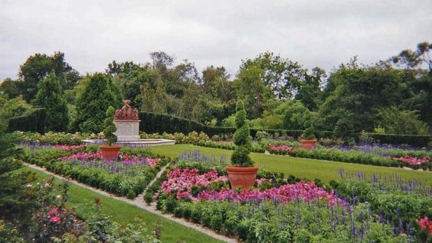 Images DaPonte's Landscaping Services