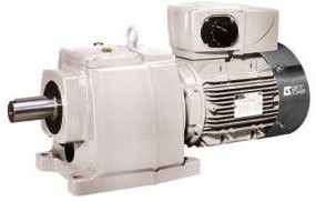 Schibli-Carnelli AG, Gurzelenstrasse 12 in Bellach