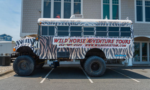 Images Wild Horse Adventure Tours