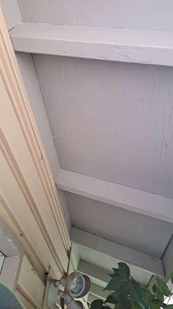 Images Semper Valeo Pest Management