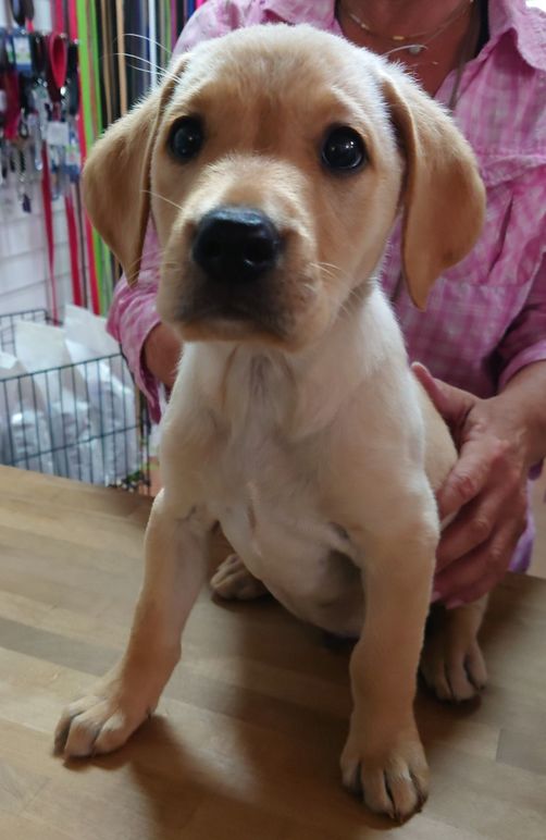 Images Smulan & Josefin