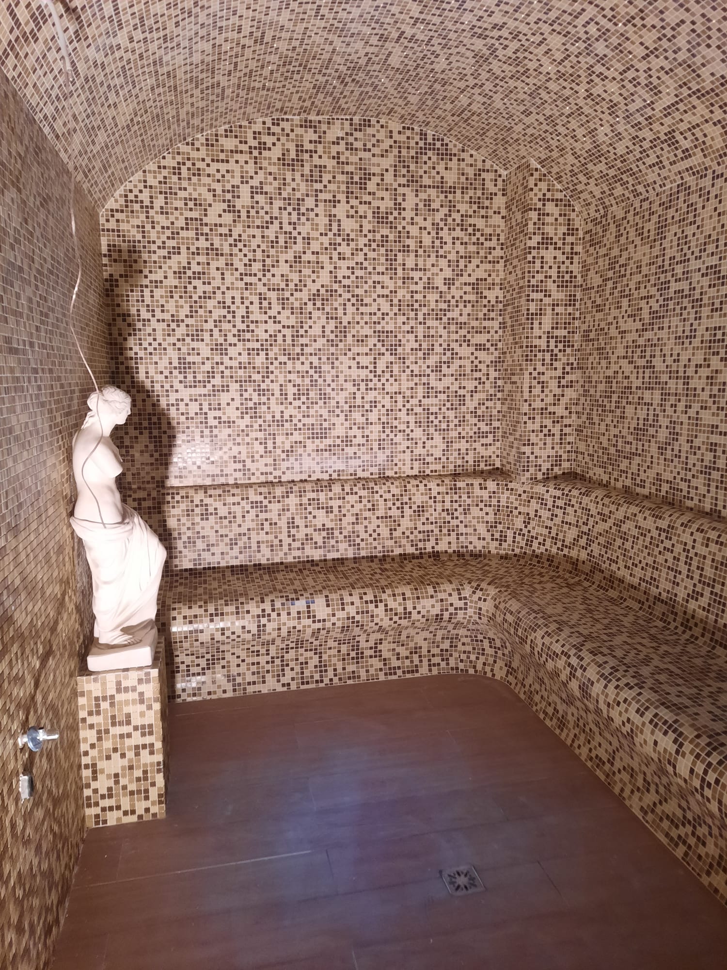 Images Serjio Reformas