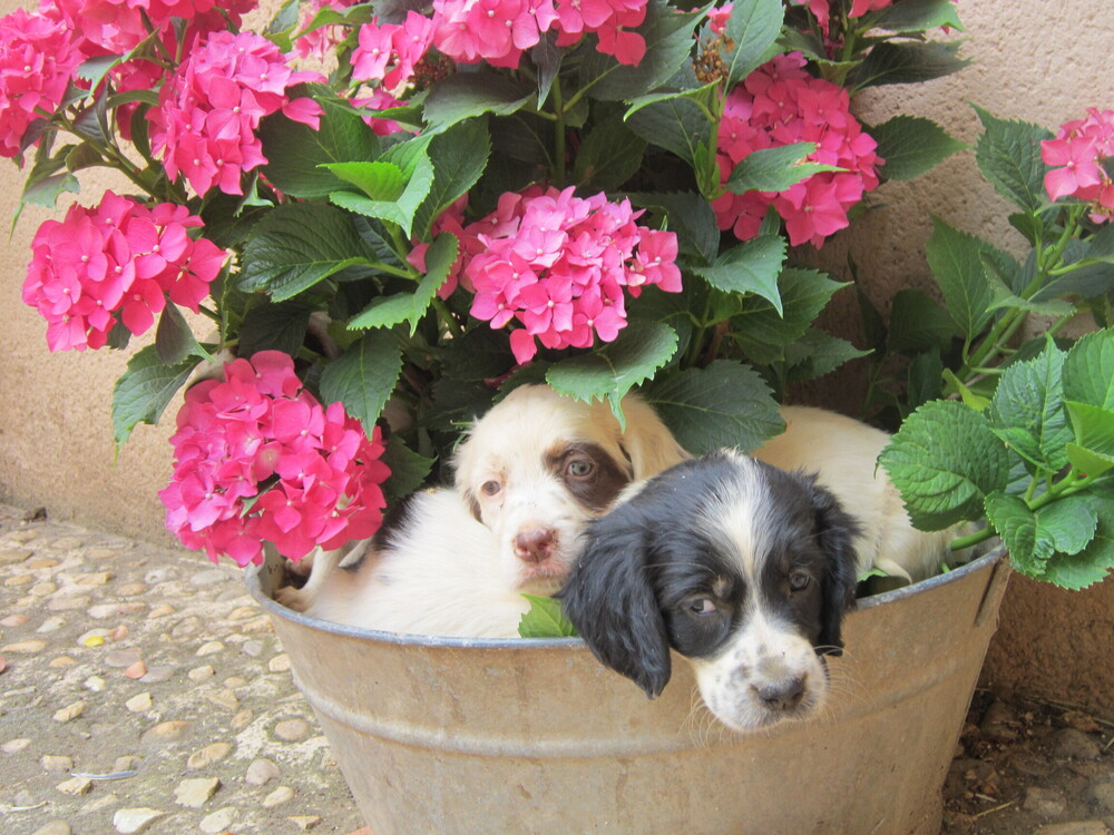 Images Casa Rural la Madre Tierra