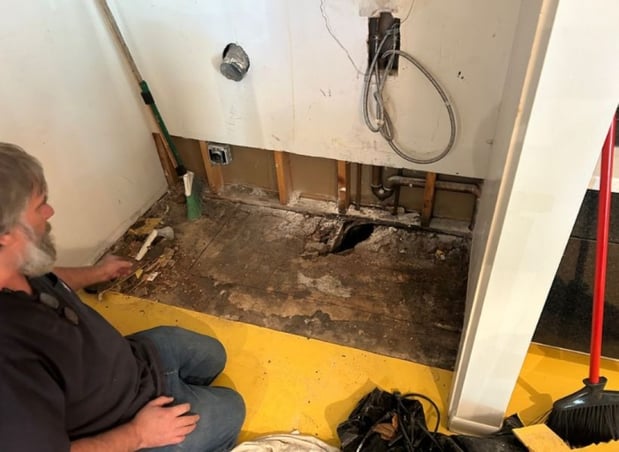 Images Mold Removal Express Fort Collins