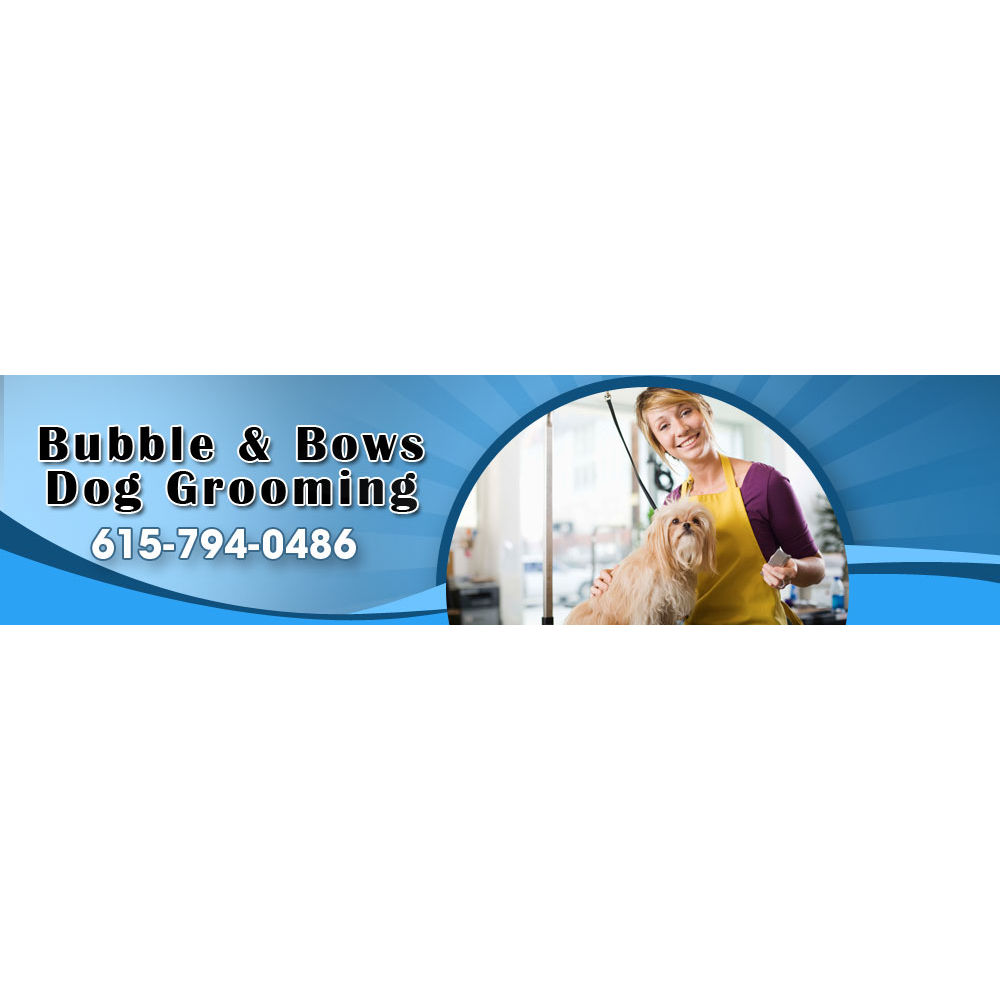 Bubbles n Bows Dog Grooming