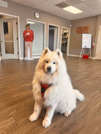 Images Derek Reiman - State Farm Insurance Agent