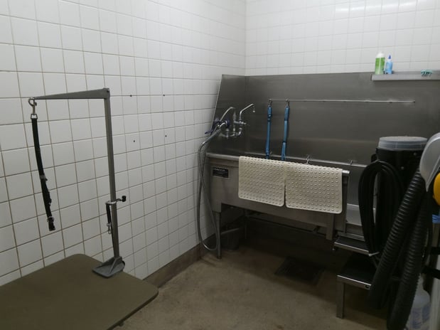 Images Petco Grooming