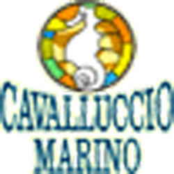 Cavalluccio Marino Logo