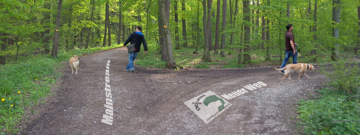 Hundeschule Engelmann, Buchenstrasse 6 in Veitsbronn