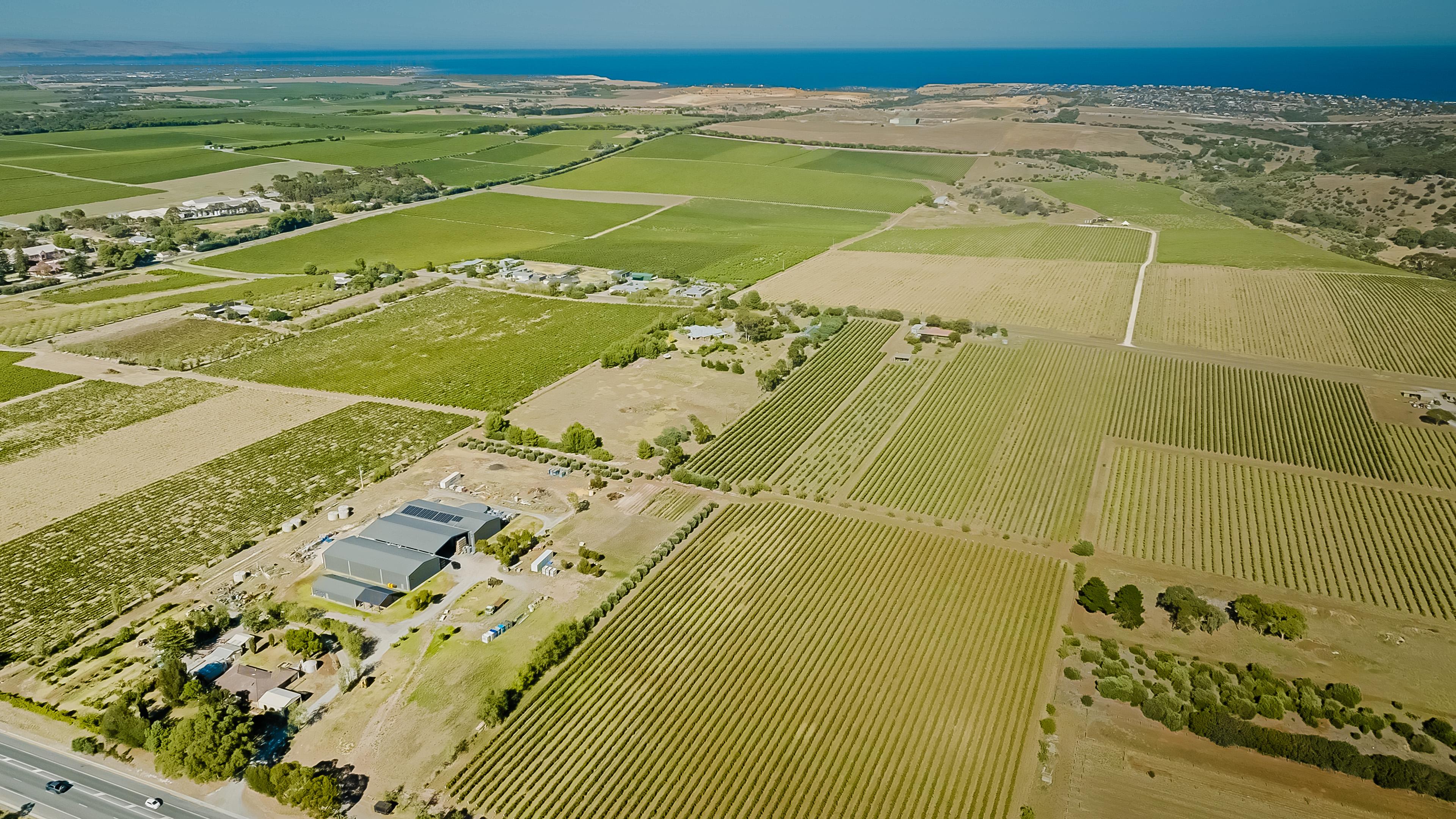 Images Curtis Winery