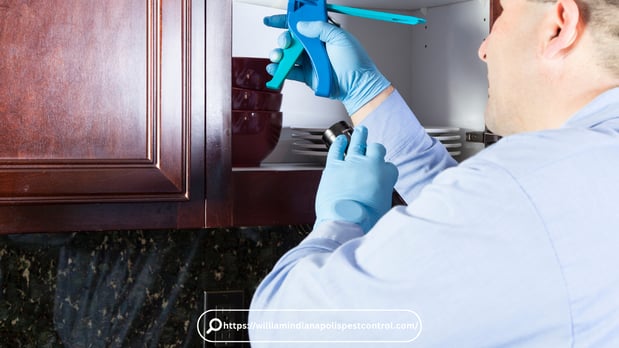 Images Pest Control Indianapolis