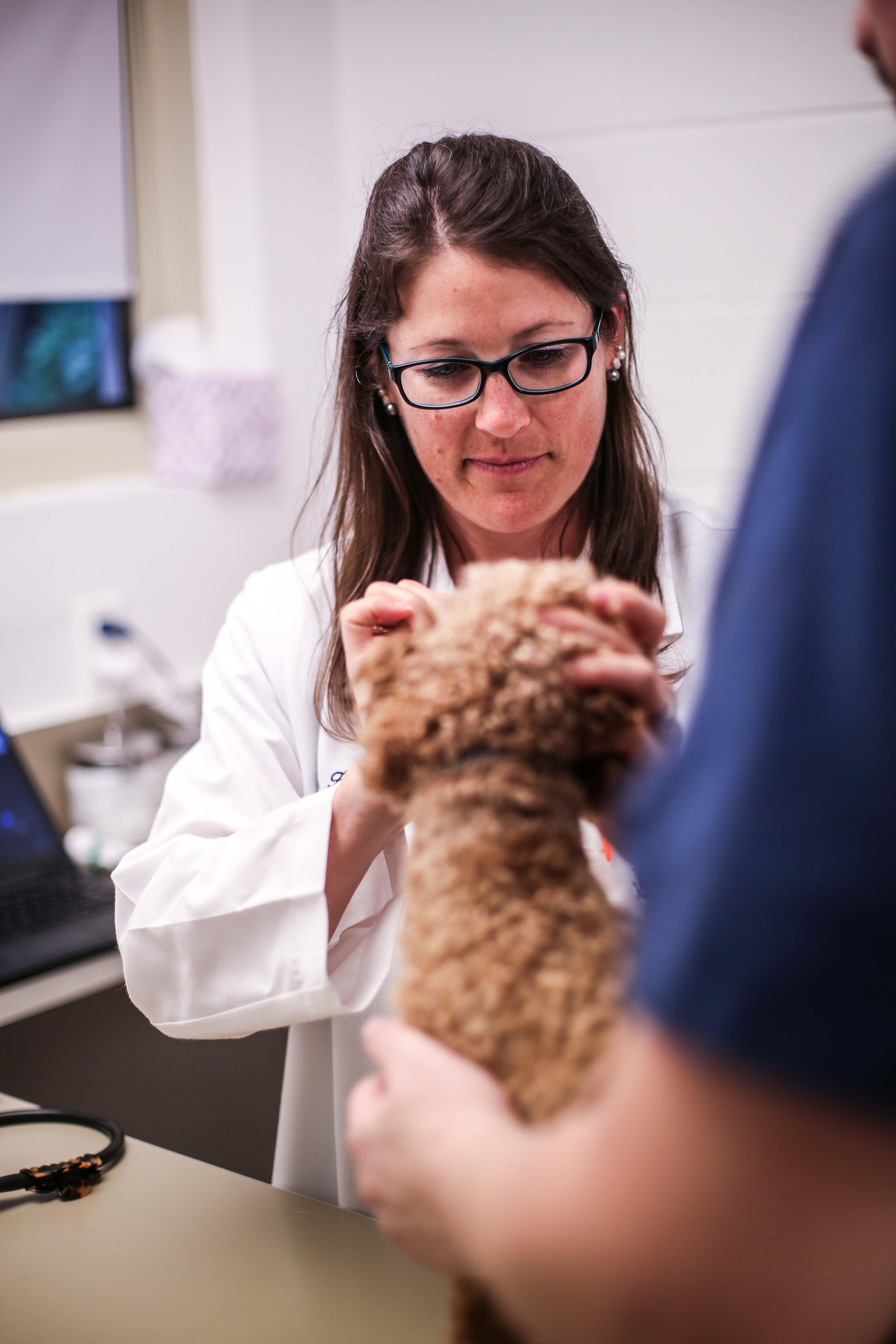 Dr. Schilke carefully examines a patient from nose to tail with the help of a veterinary technician.
