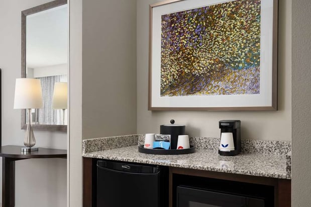Images Hampton Inn & Suites Orlando/Downtown South - Medical Center