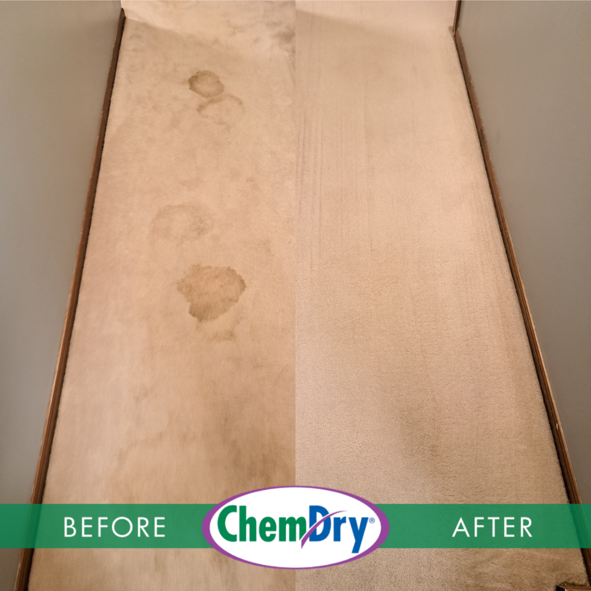 hallway carpet cleaning auburn indiana before after pet odor removal from carpet