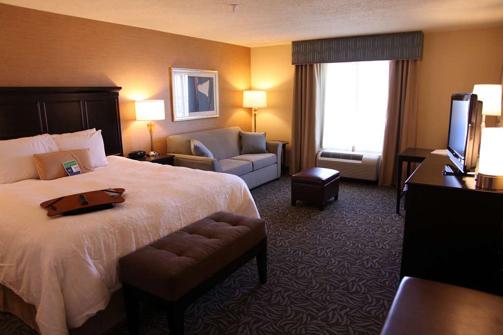 Guest room Hampton Inn & Suites Carlsbad Carlsbad (575)725-5700