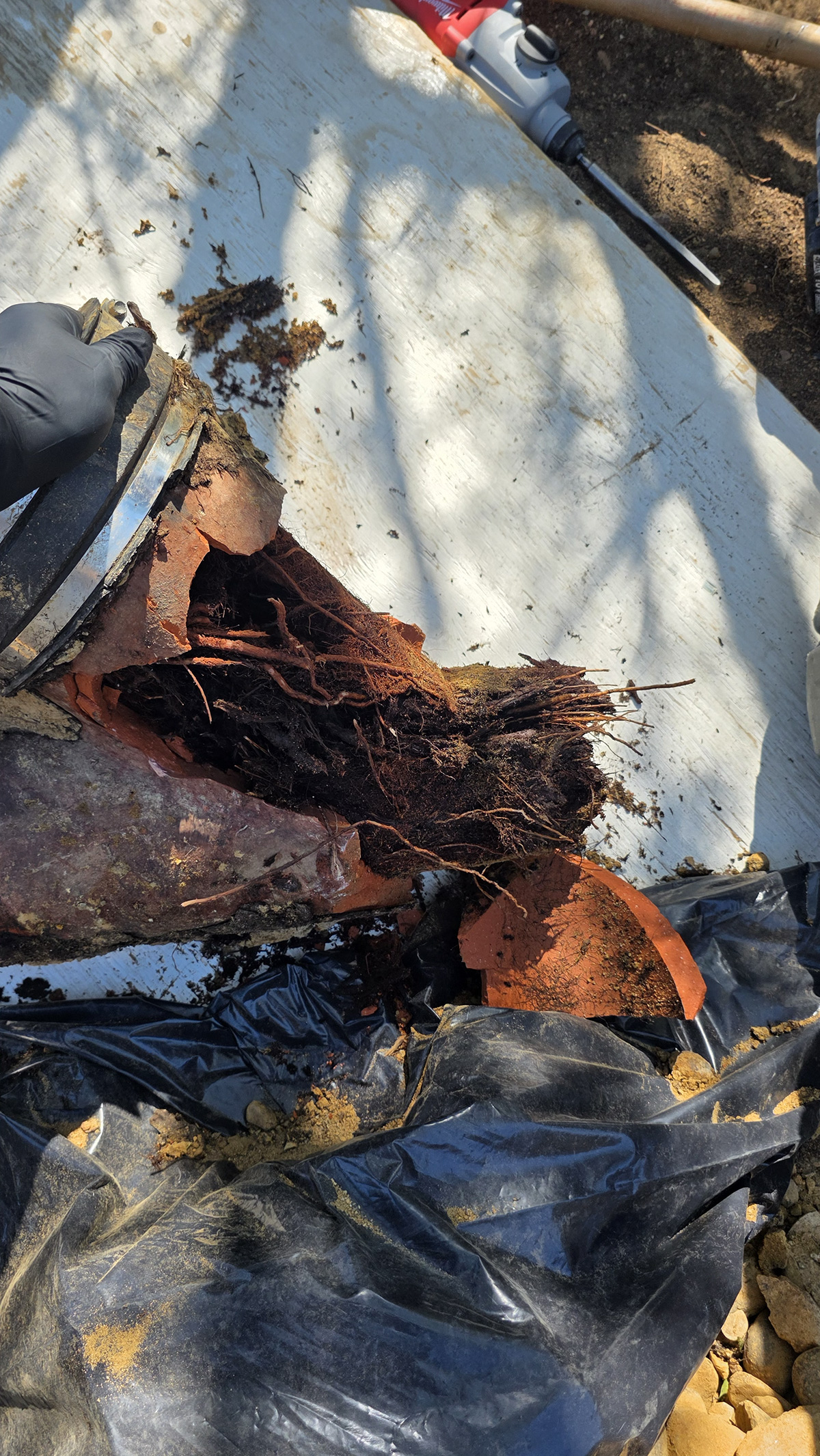 Team Rooter Plumbing - San Diego Image