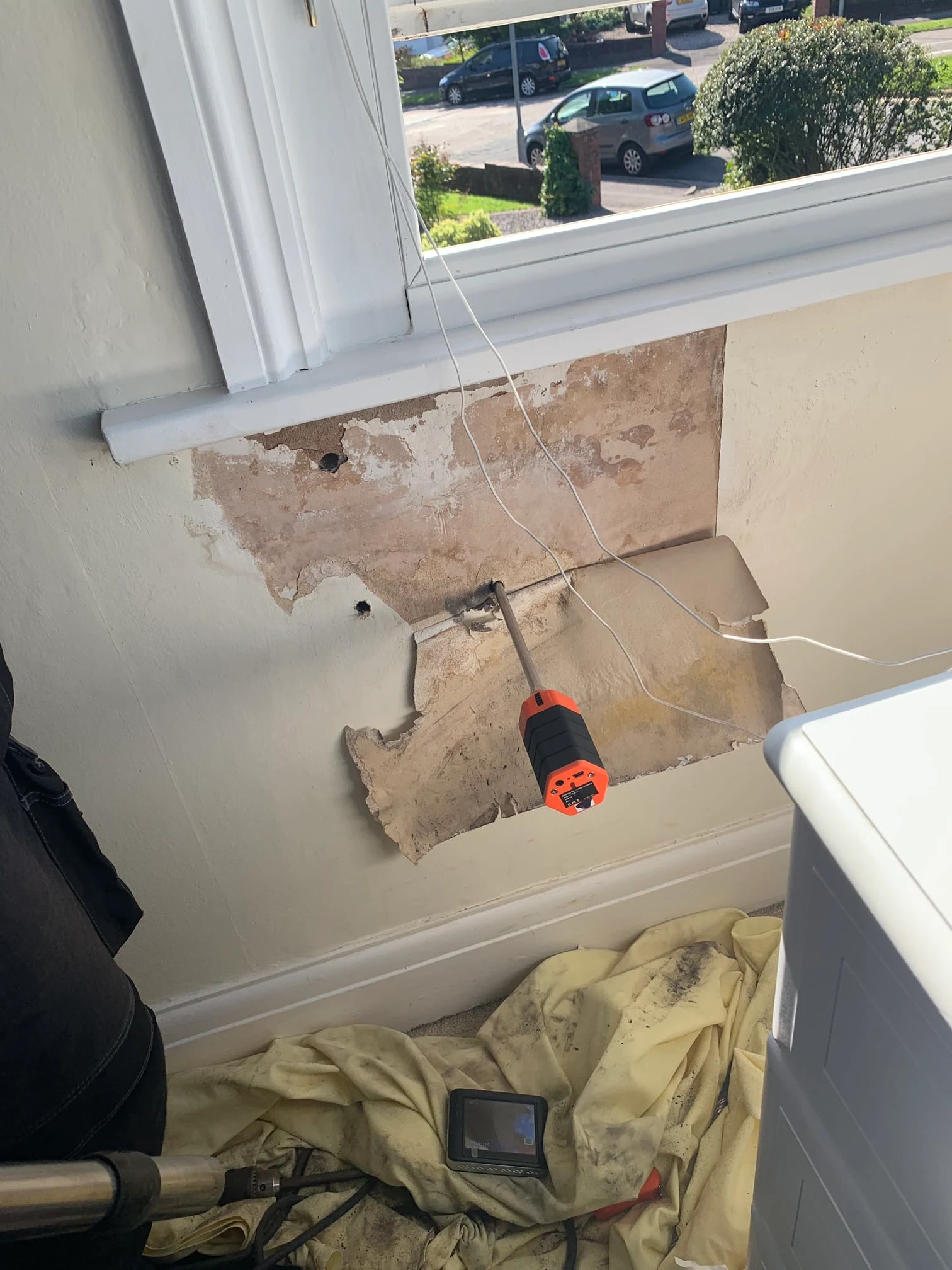 Images Damp Detectives