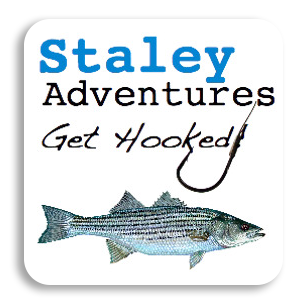Staley Adventures Logo