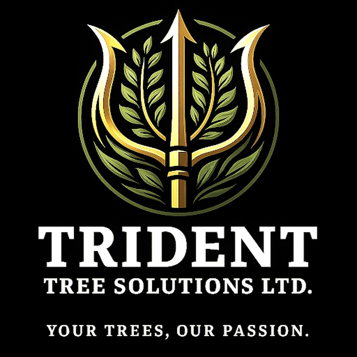 Images Trident Tree Solutions Ltd.