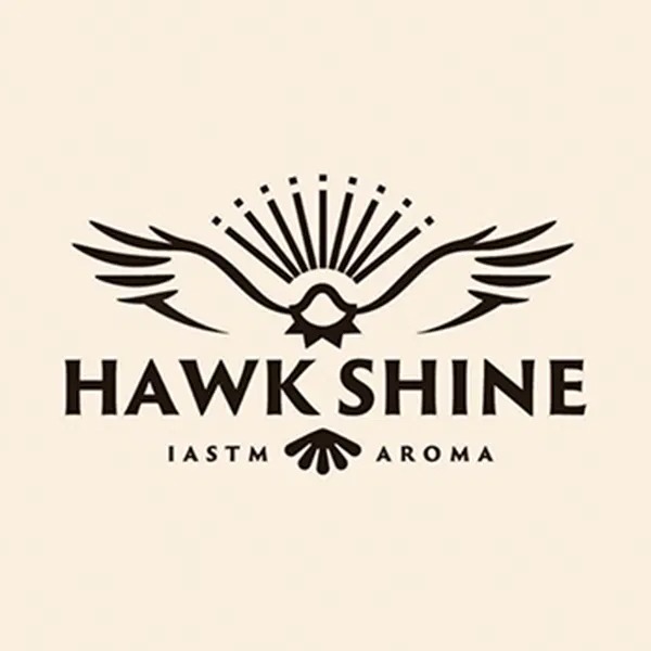 HAWK SHINE Logo