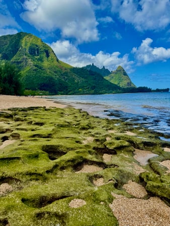 Images Brent Maudlin - State Farm Insurance Agent