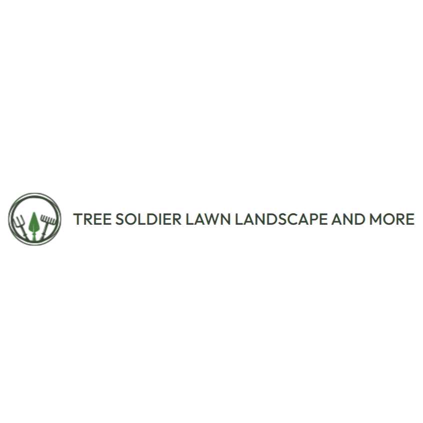 Tree Soldier Lawn Landscape And More