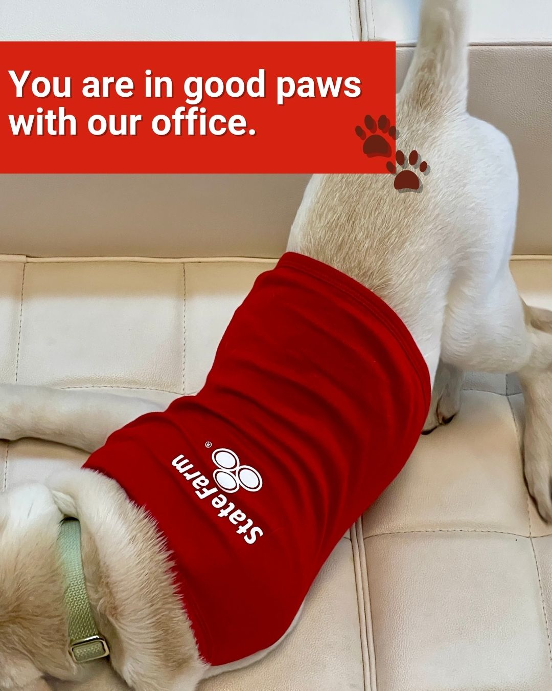 You're in good paws with our office.  Happy National Pet Day! Michael Popwell - State Farm Insurance Agent Suwanee (470)202-6131