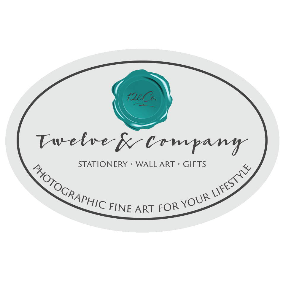 Twelve & Company Logo